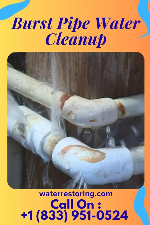 Burst Pipe Water Cleanup in Makaha, HI