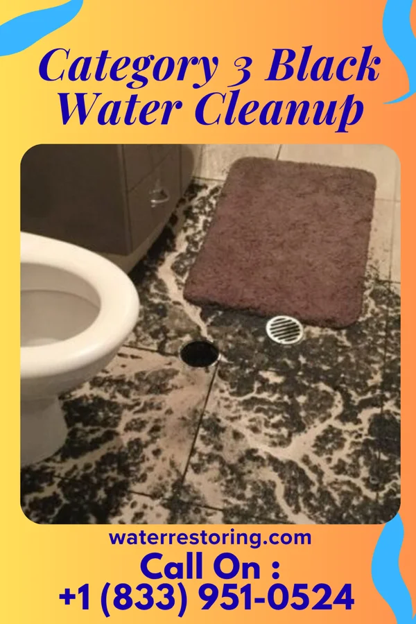 Category 3 Black Water Cleanup in Makaha, HI