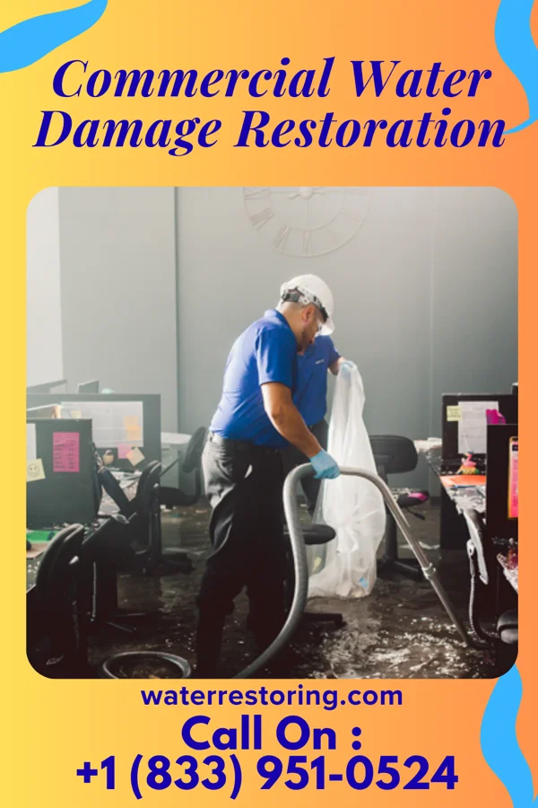 Commercial Water Damage Restoration in Makaha, HI