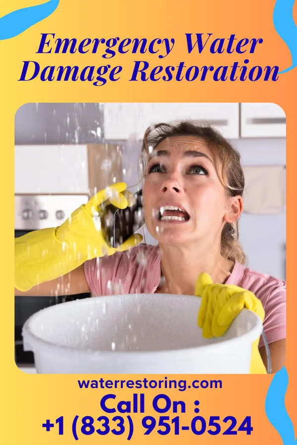 Emergency Water Damage Restoration in Makaha, HI