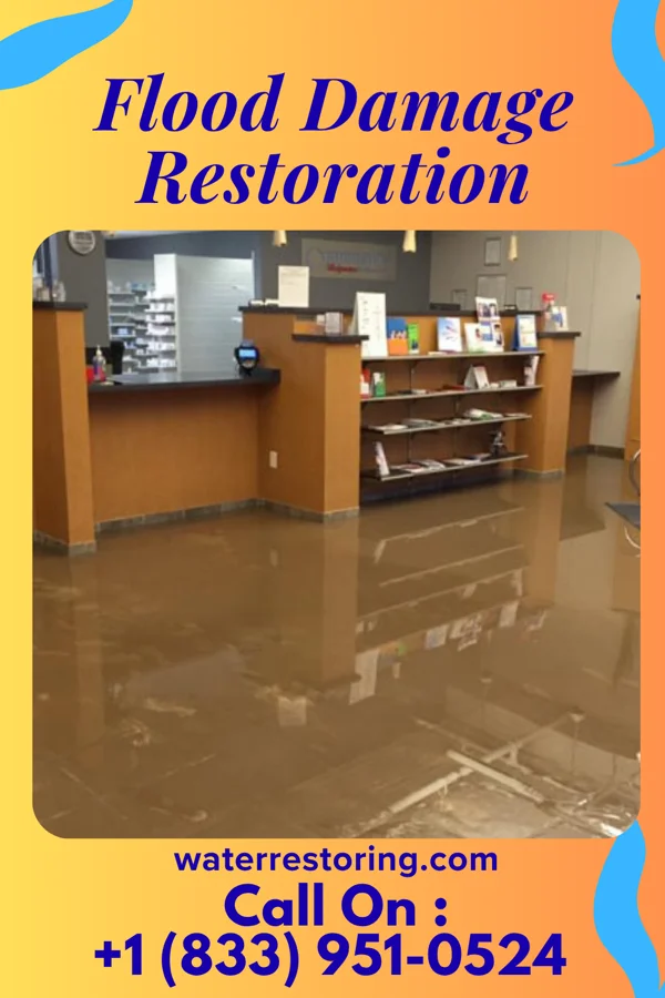 Flood Damage Restoration in Makaha, HI