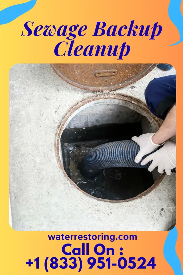 Sewage Backup Cleanup in Makaha, HI