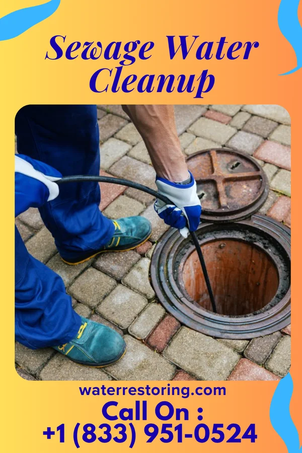 Sewage Water Cleanup in Makaha, HI