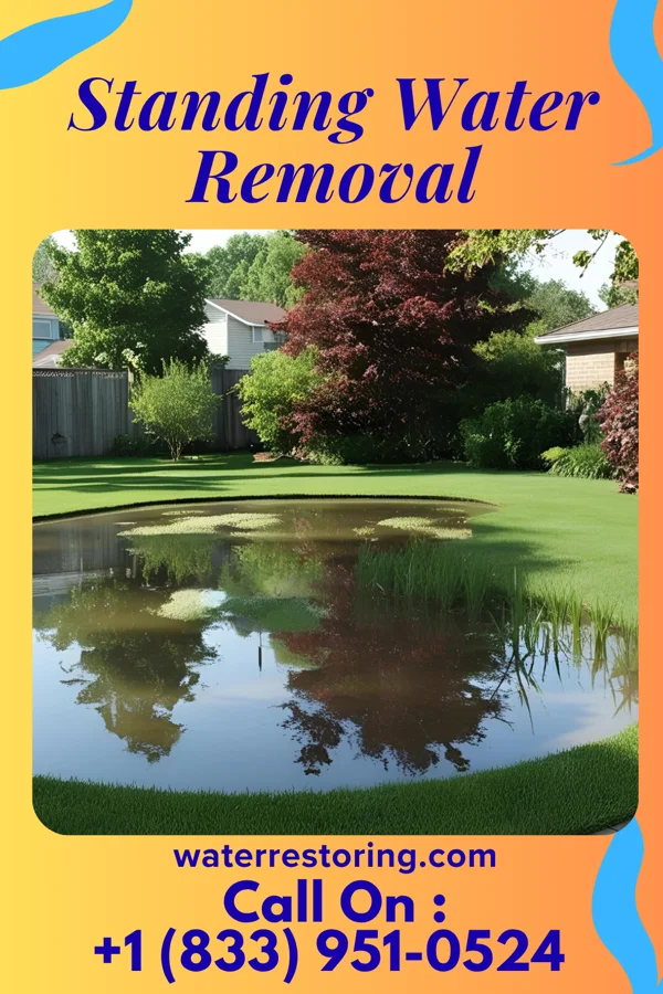 Standing Water Removal in Makaha, HI